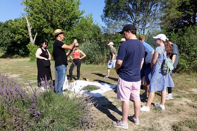 Guided tour Distillery of Lavender between Nîmes & Arles - A family-friendly stop in the Camargue area