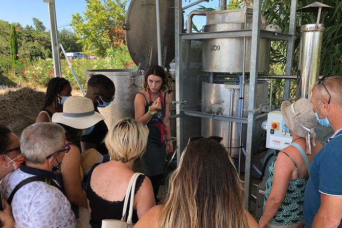 Guided tour Distillery of Lavender between Nîmes & Arles - What the price and timing mean for your day
