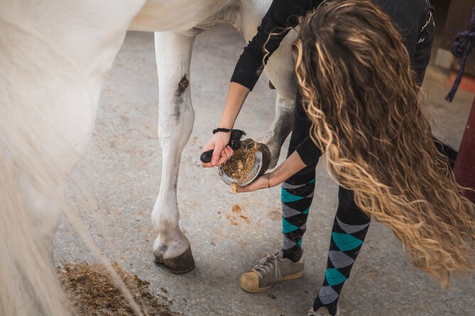 Guided tour of the stables of El Ranchito in Malaga - Animal welfare deserves your attention