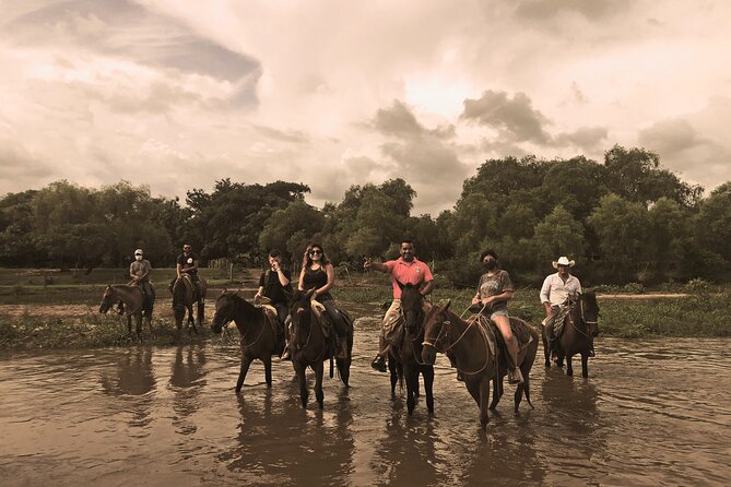 Guided Tour with Horseback Riding and Bioluminescence in Puerto Escondido - San José Manialtepec and the long horseback ride