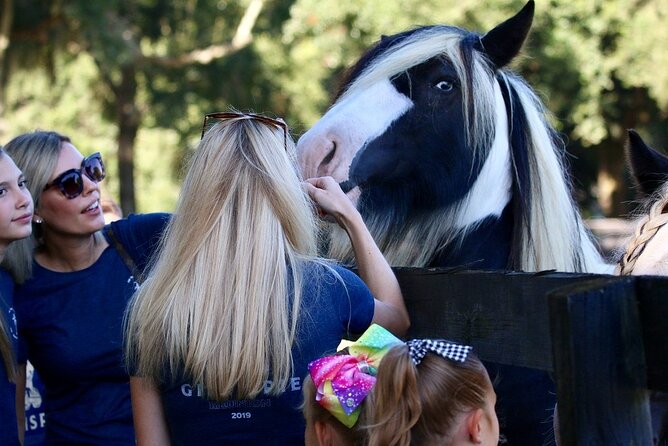 Gypsy Gold Horse Farm Tour - Is $55 a fair price?