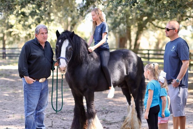 Gypsy Gold Horse Farm Tour - Who should book this farm tour?