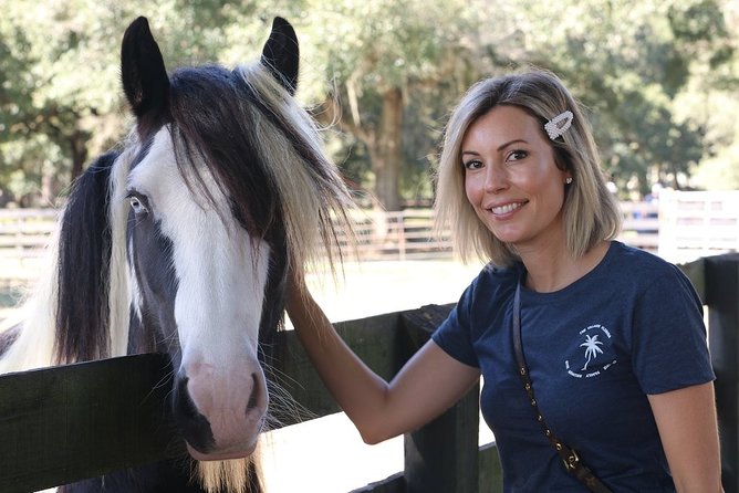 Gypsy Gold Horse Farm Tour - Should you book the Gypsy Gold Horse Farm Tour?