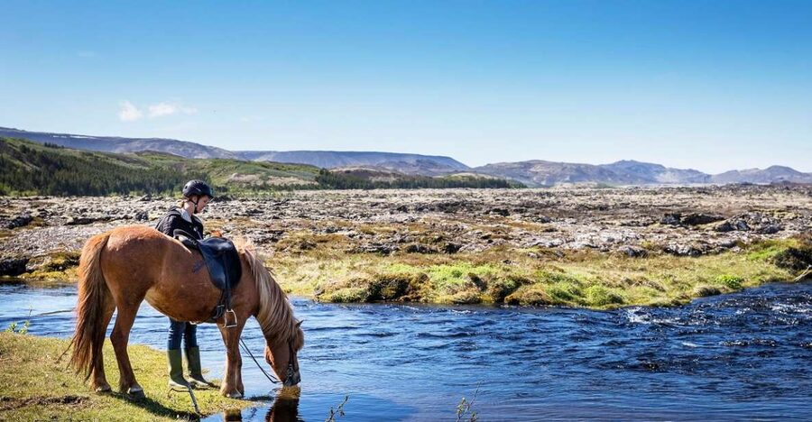 Hafnarfjörður: Horseback Riding Tour in Reykjavik Area - Key points to know before you book