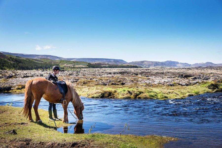 Hafnarfjörður: Horseback Riding Tour in Reykjavik Area - A gentle introduction to Icelandic horses