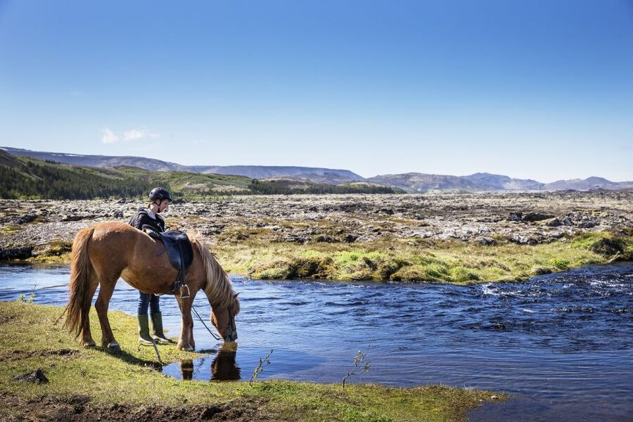 Hafnarfjörður: Horseback Riding Tour in Reykjavik Area - Getting dressed for Icelandic weather