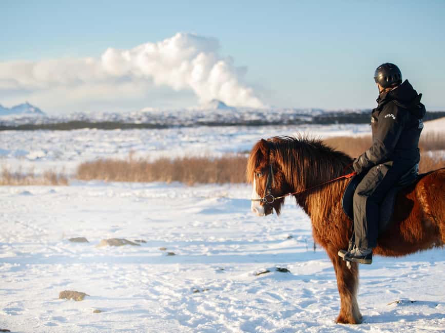 Hafnarfjörður: Horseback Riding Tour in Reykjavik Area - What the horse ride feels like