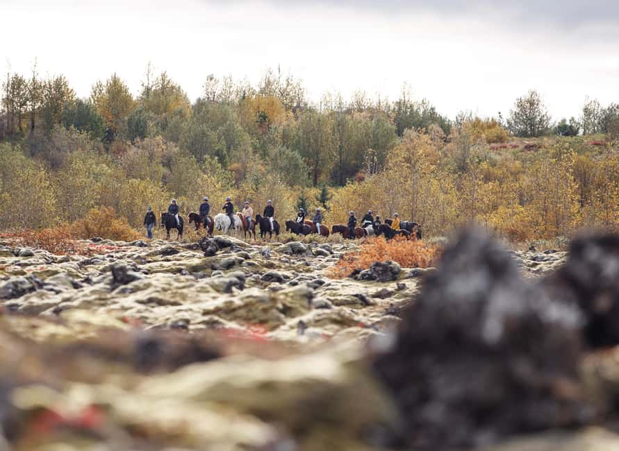 Hafnarfjörður: Horseback Riding Tour in Reykjavik Area - Meeting the horses after the ride