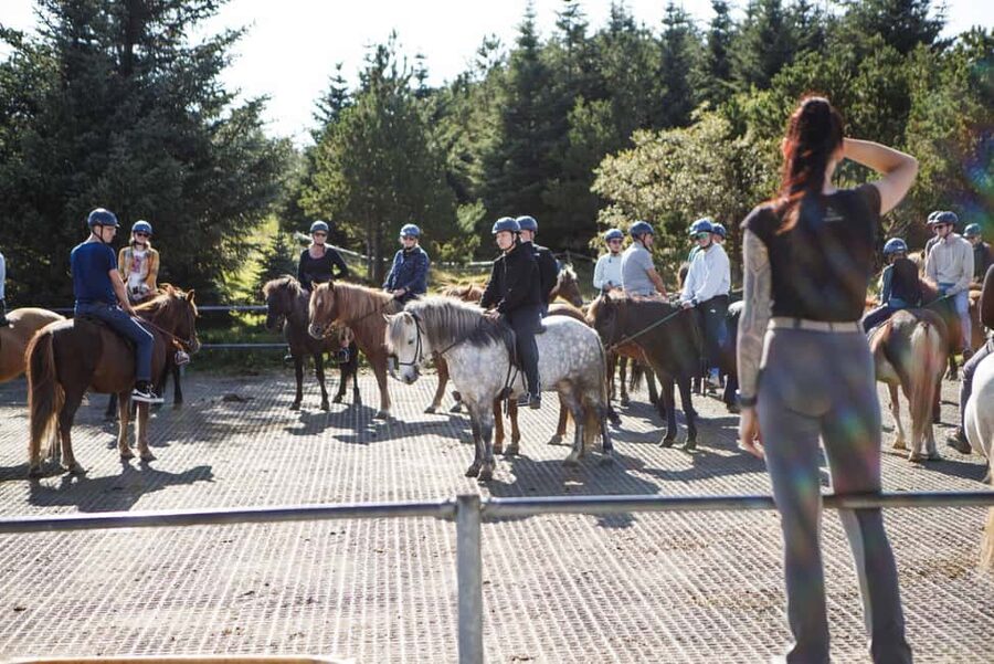 Hafnarfjörður: Horseback Riding Tour in Reykjavik Area - Who should book this ride