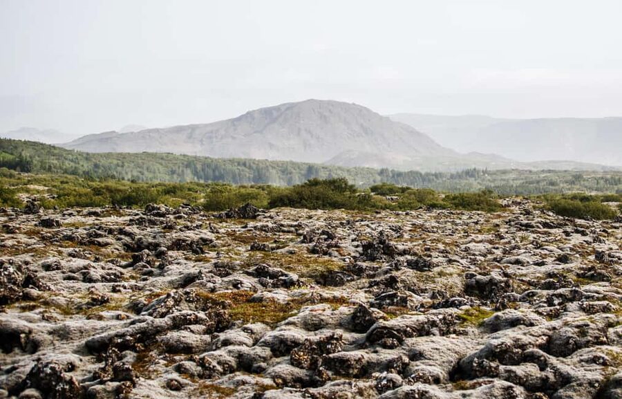 Hafnarfjörður: Horseback Riding Tour in Reykjavik Area - Practical tips for a smoother visit