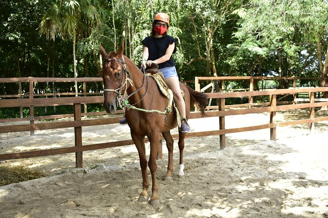 Half Day Adventure in Mexico: Horseback riding, ATV, and Zipline - Is the $60.75 Price Good Value?