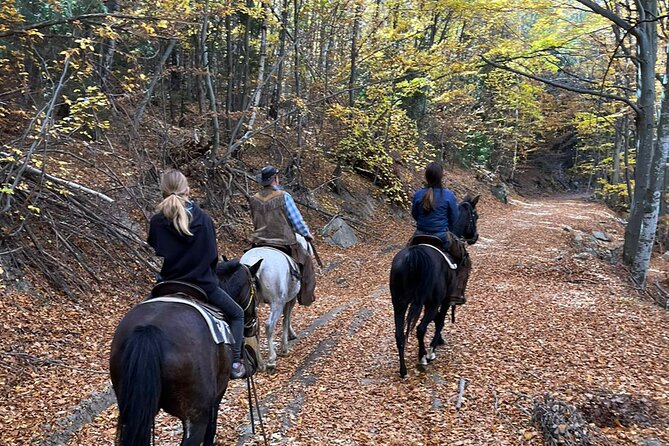 Half day adventure - Nevsky, Vitosha Hoof, Boyana and Horse Ride - Boyana Church and Bulgaria’s medieval past