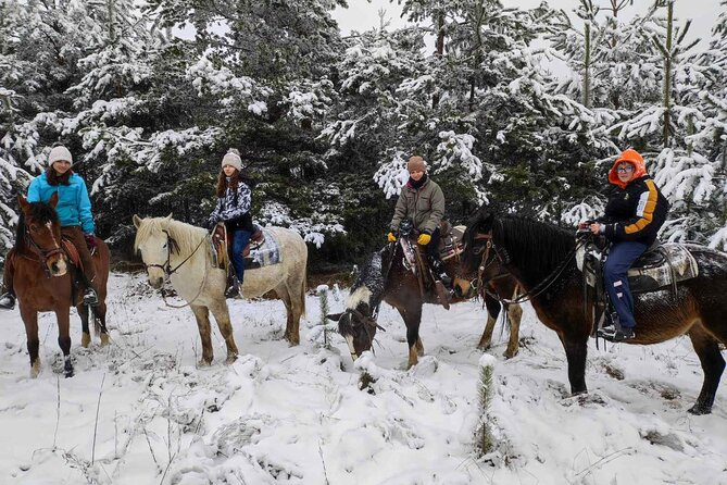 Half day adventure - Nevsky, Vitosha Hoof, Boyana and Horse Ride - Who gets the most value from the $240.76 price