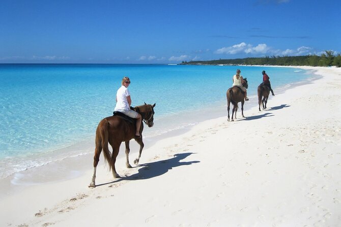 Half-Day Beach Horse Back Riding in Puerto Plata - Riding beside the water for the first hour