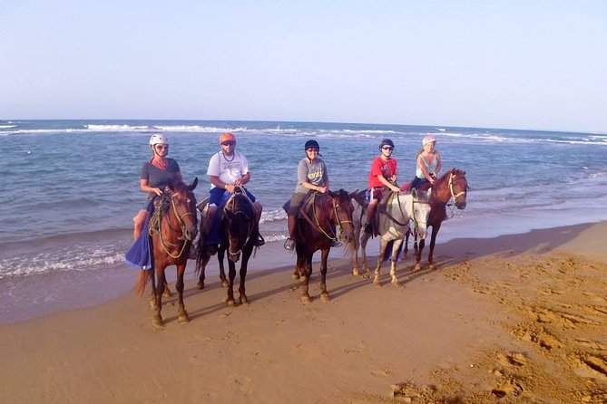Half-Day Beach Horse Back Riding in Puerto Plata - Swimming with your horse, when conditions allow