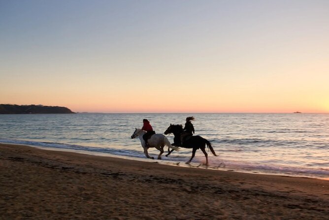 Half-Day Beach Horse Back Riding in Puerto Plata - The shorter ride back to the ranch