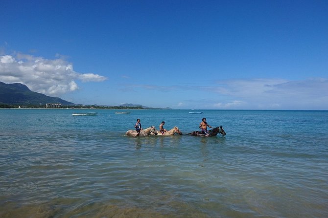 Half-Day Beach Horse Back Riding in Puerto Plata - Who will enjoy this ride most