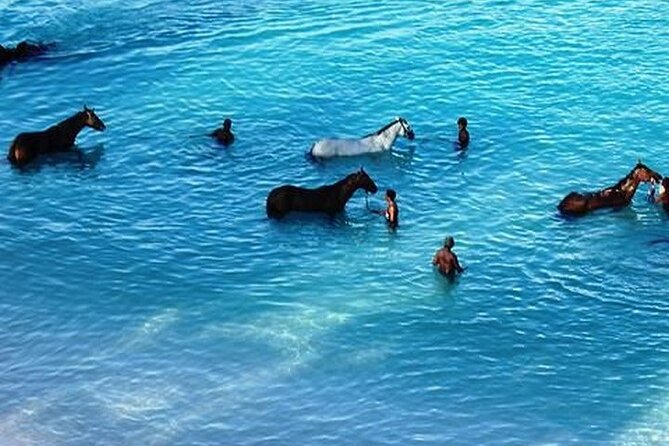 Half-Day Beach Horse Back Riding in Puerto Plata - Practical details that affect your morning