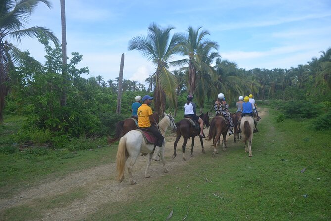 Half Day Buggies and Horseback Experience in Punta Cana - The underground water cave