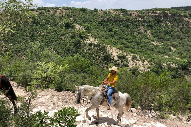 Half Day Excursion - Horseback Riding Adventure in SMA - Guides who make the difference