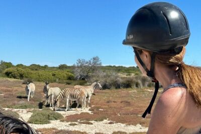 Half day Horse back safari