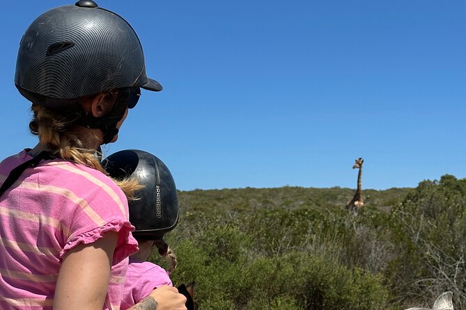 Half day Horse back safari - What $60.60 really covers