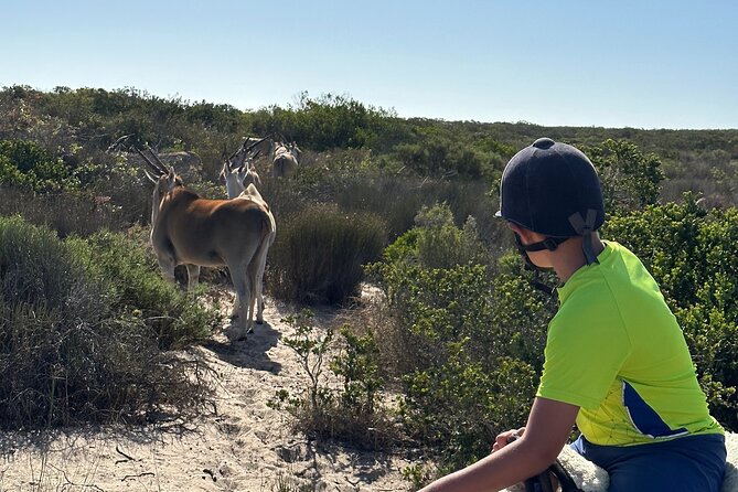 Half day Horse back safari - Getting to the farm without a gate problem