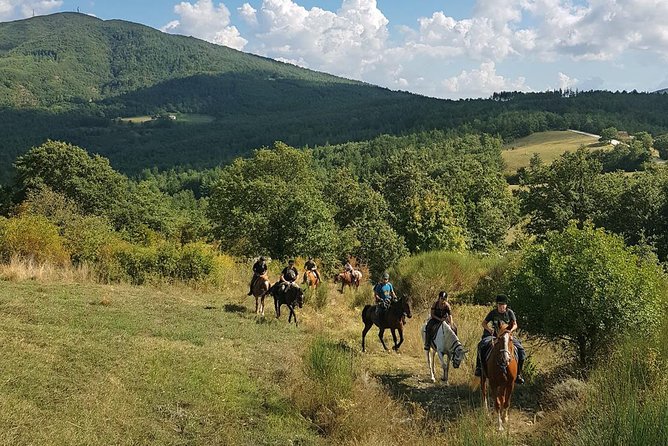 Half-Day Horseback Ride in Tuscany - Starting at Prategiano Stables near Montieri
