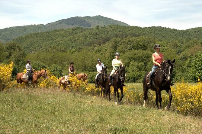Half-Day Horseback Ride in Tuscany - What the pace means for different riders