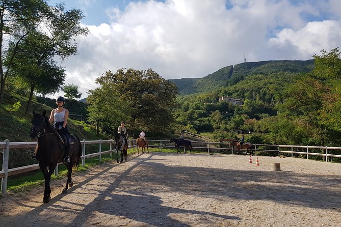 Half-Day Horseback Ride in Tuscany for beginner riders - Starting at Prategiano Stables near Montieri
