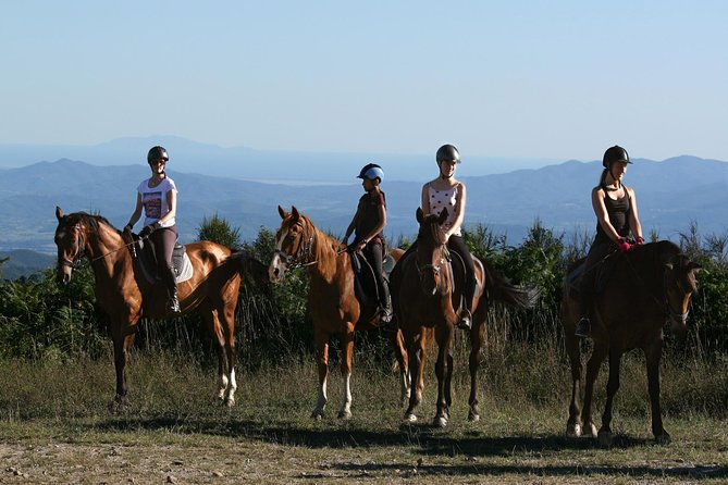 Half-Day Horseback Ride in Tuscany for beginner riders - Meeting your horse and getting comfortable