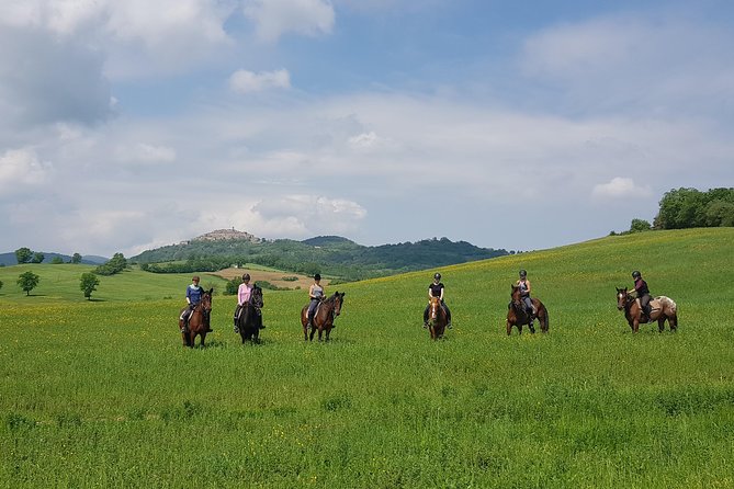Half-Day Horseback Ride in Tuscany for beginner riders - Climbing Montieri Hill for the wide view