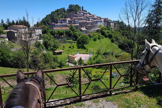 Half-Day Horseback Ride in Tuscany for beginner riders - What the $120.16 price gets you