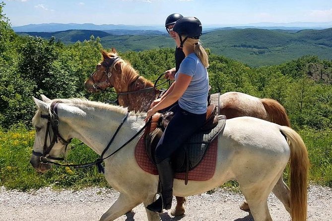 Half-Day Horseback Ride in Tuscany for beginner riders - Who should book this ride