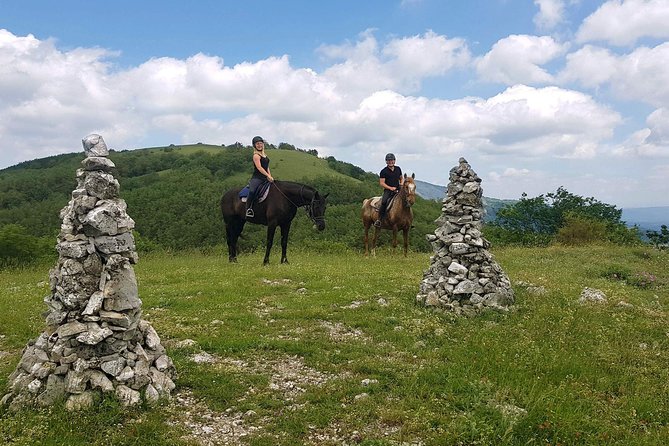 Half-Day Horseback Ride in Tuscany for beginner riders - Final call: a calm first ride with real Tuscan scenery