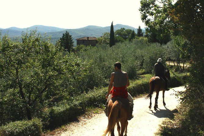 Half-Day Horseback Ride in Tuscany for beginner riders - FAQ