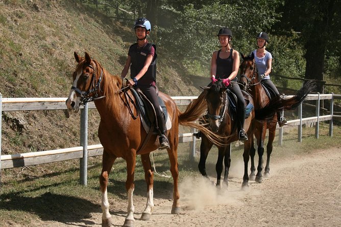 Half-Day Horseback Ride in Tuscany for beginner riders - Riding through woods, streams, and meadows