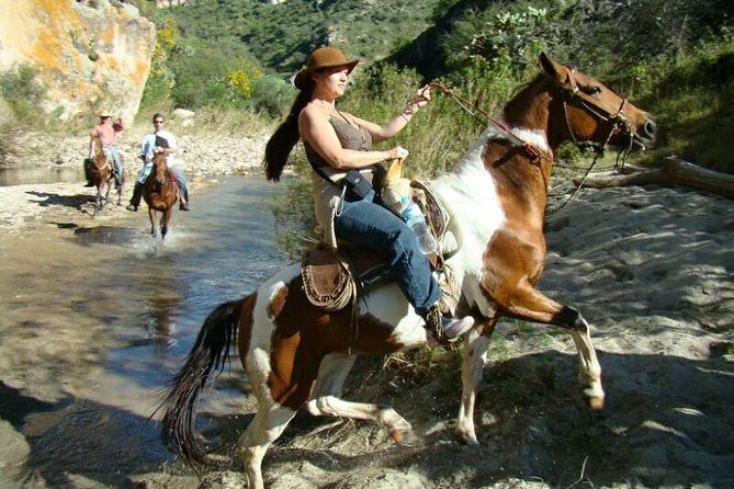 Half-Day Horseback Riding Adventure - The Climb to the Cliffs and the 20-Minute Photo Stop