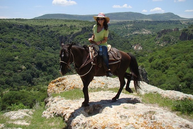 Half-Day Horseback Riding Adventure - Across Plains, Cattle Country, and Back Down