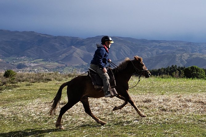 Half day Horseback Riding tour around Sacsayhuaman park - Riding the mountain paths above Cusco