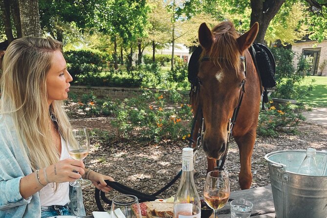 Half Day Horseback Wine Tour - Riding through four Stellenbosch wine farms