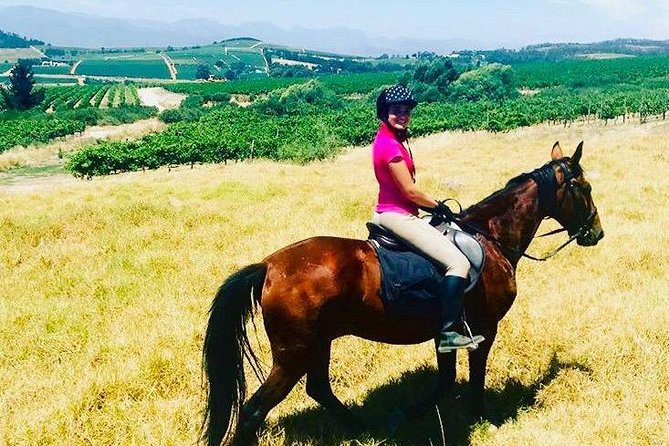 Half Day Horseback Wine Tour - Who should book this ride?