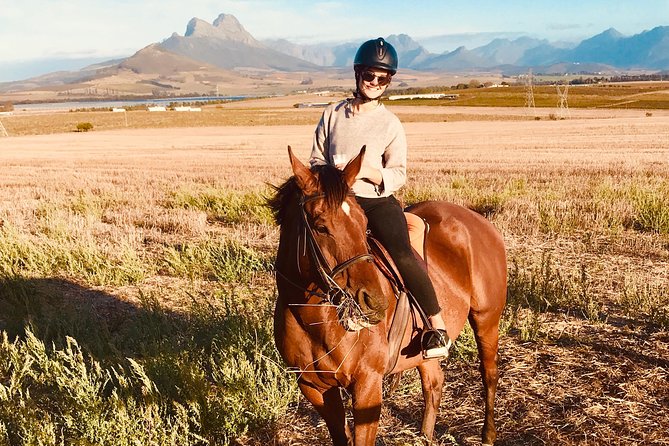 Half Day Horseback Wine Tour - What the winery part really means