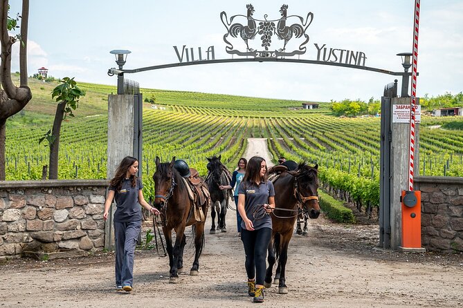 Half-Day of Horseback Adventure with Wine Tasting - From Plovdiv to Yustina Vineyard Park