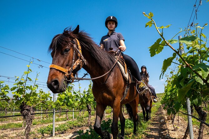 Half-Day of Horseback Adventure with Wine Tasting - Seeing Red Church near the Rhodope Mountains