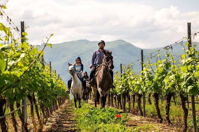 Half-Day of Horseback Adventure with Wine Tasting - What the $179.01 price includes