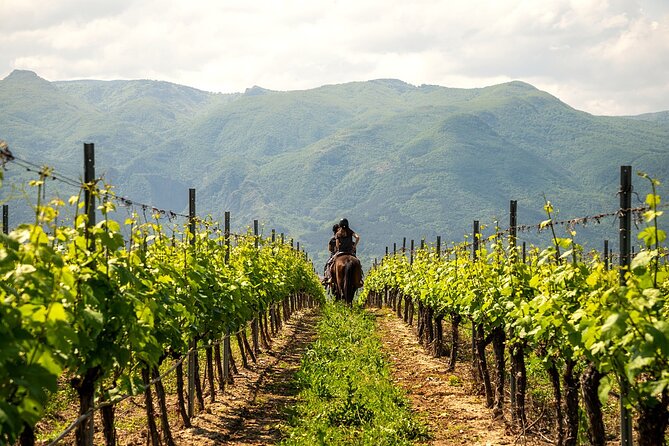 Half-Day of Horseback Adventure with Wine Tasting - Who will enjoy this four-hour outing