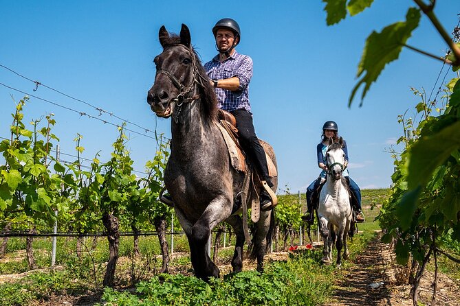 Half-Day of Horseback Adventure with Wine Tasting - Small-group care and the role of the guide