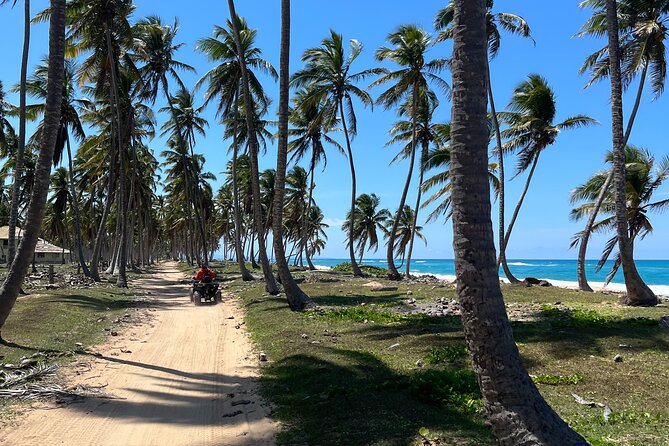 Half Day Safari and ATV or horses from Punta Cana - Key Points to Know Before You Book