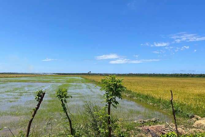 Half Day Safari and ATV or horses from Punta Cana - Is $116 a Fair Price?